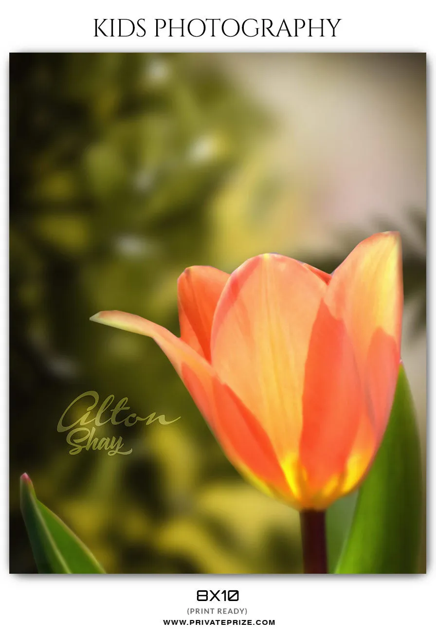 Alton Shay - Kids Photography