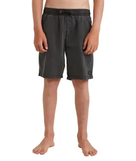 Billabong All Day Overdye Layback Youth Boardshorts