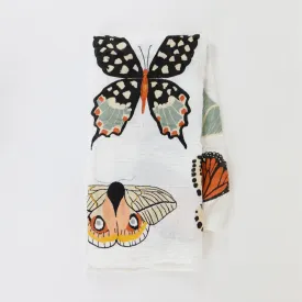 Butterfly Collector Swaddle Blanket