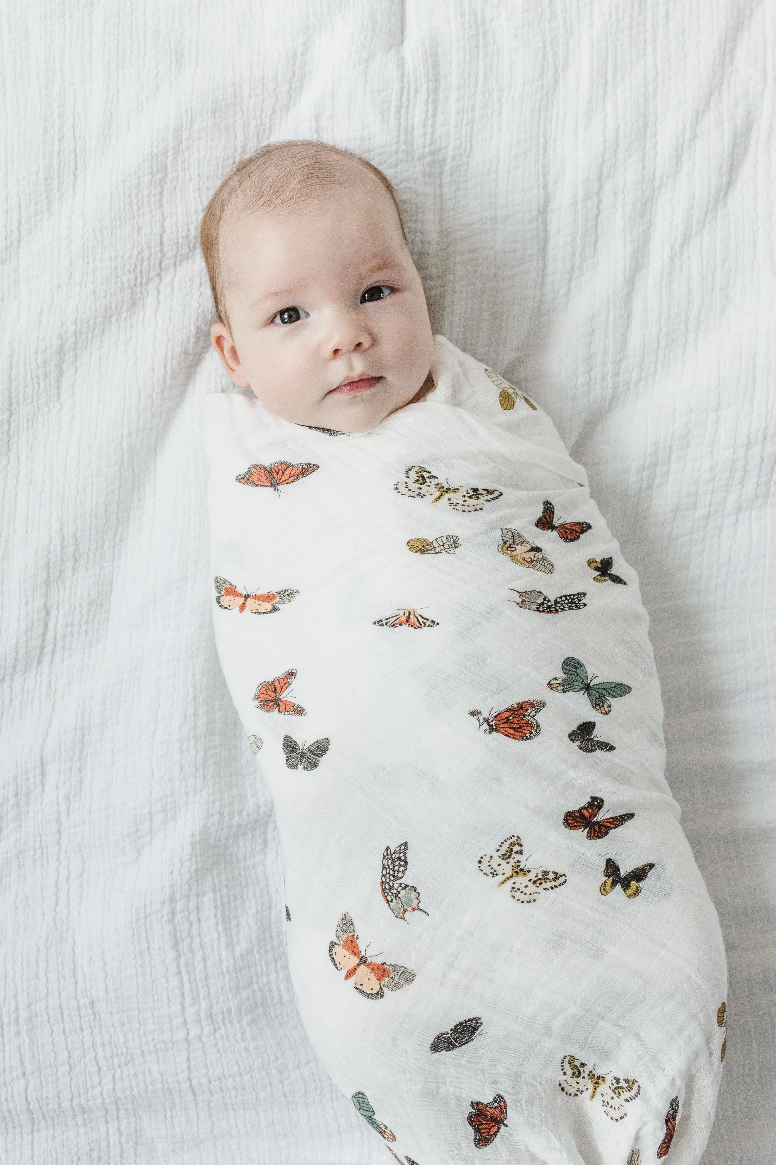 Butterfly Migration Swaddle Blanket