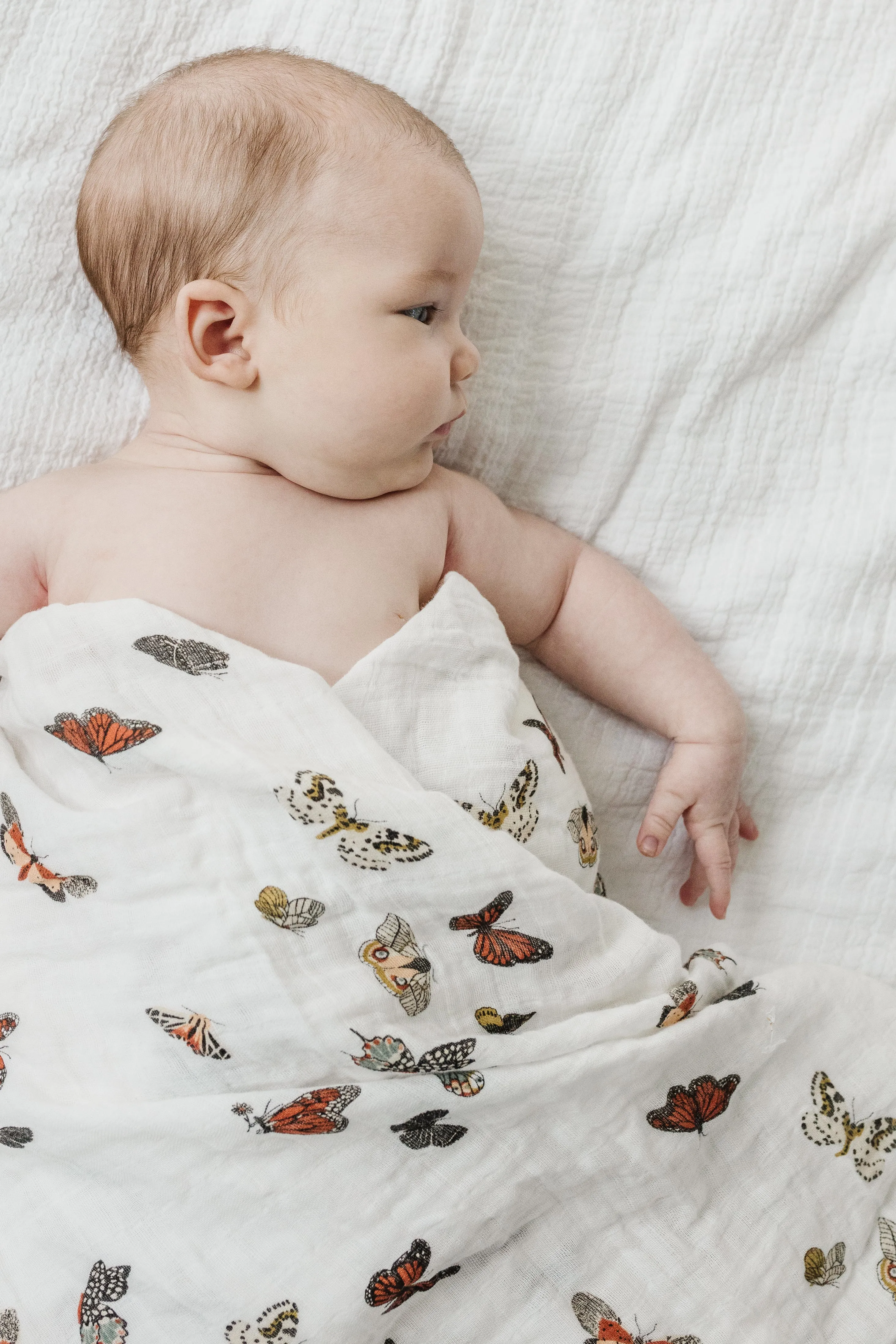 Butterfly Migration Swaddle Blanket