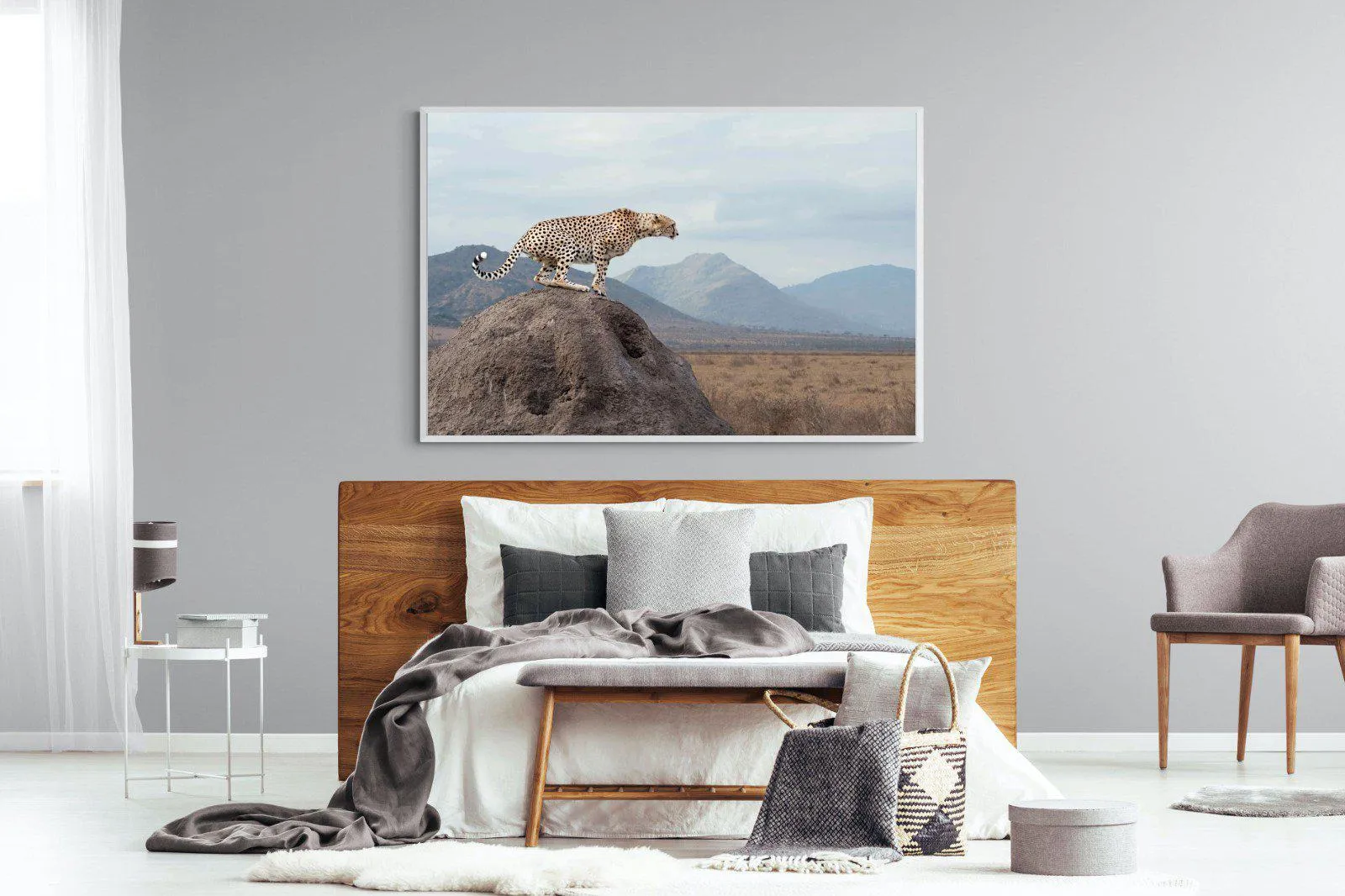 Cheetah
