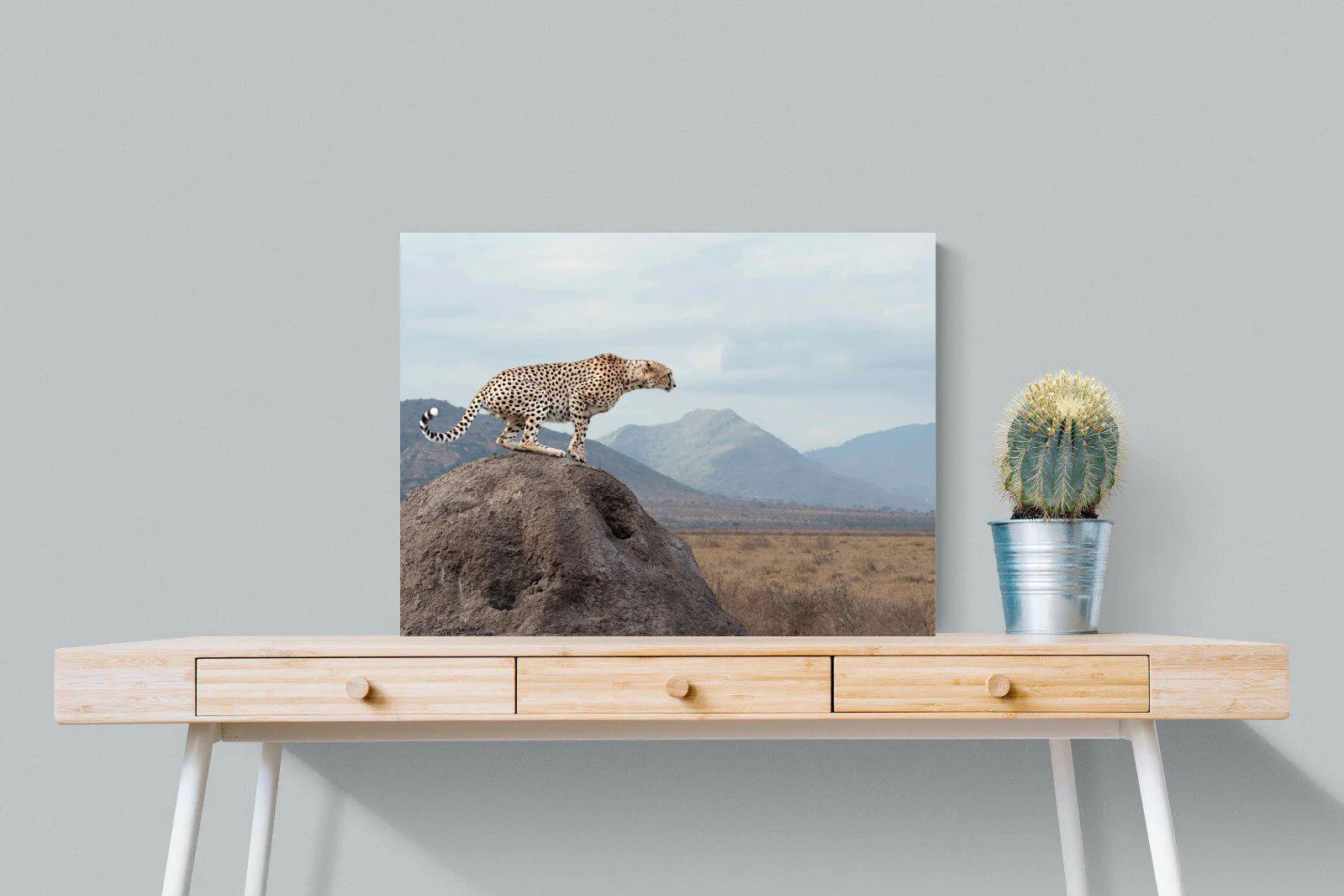 Cheetah