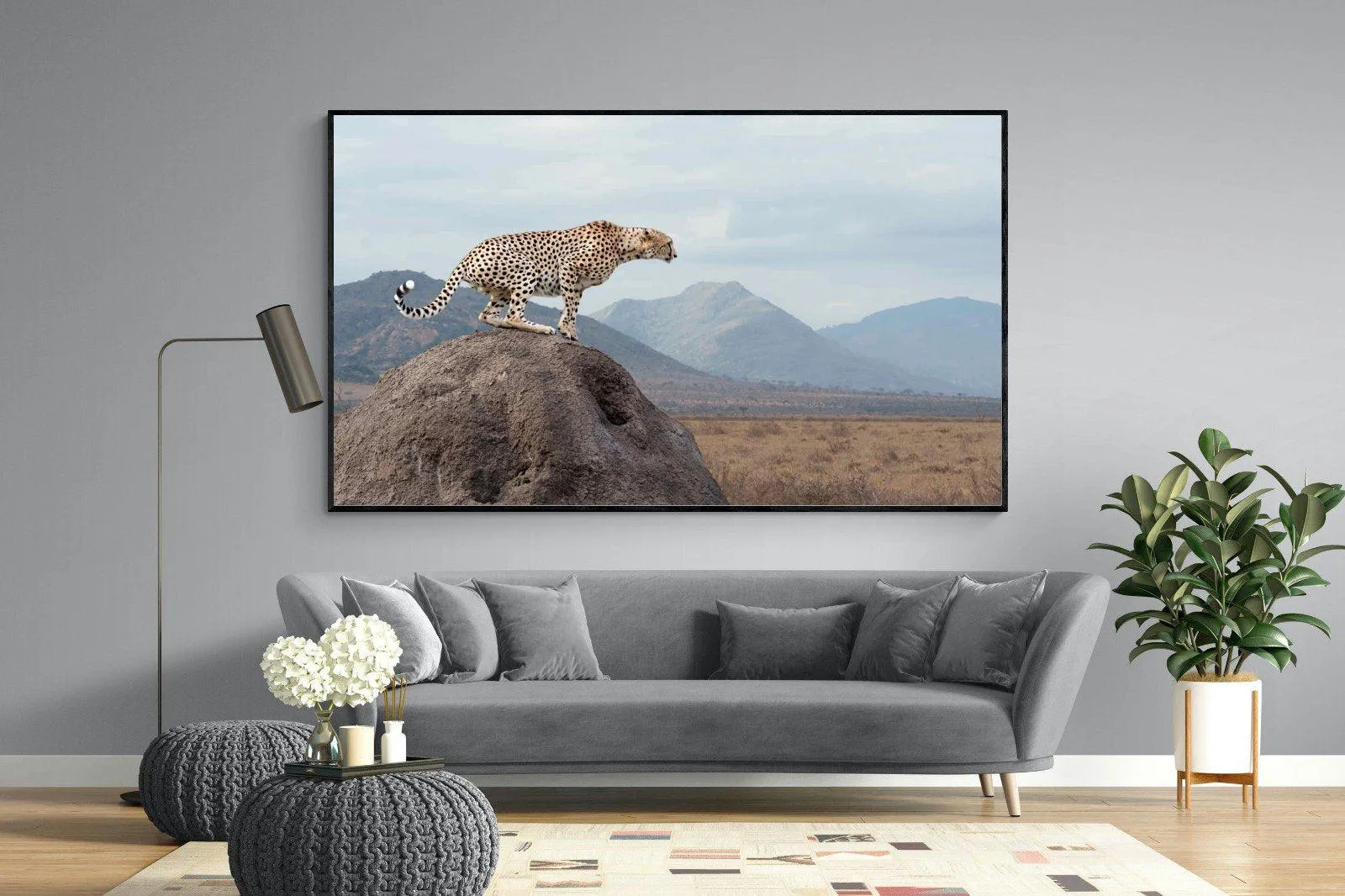 Cheetah