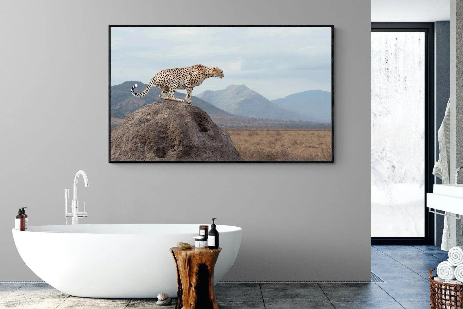 Cheetah