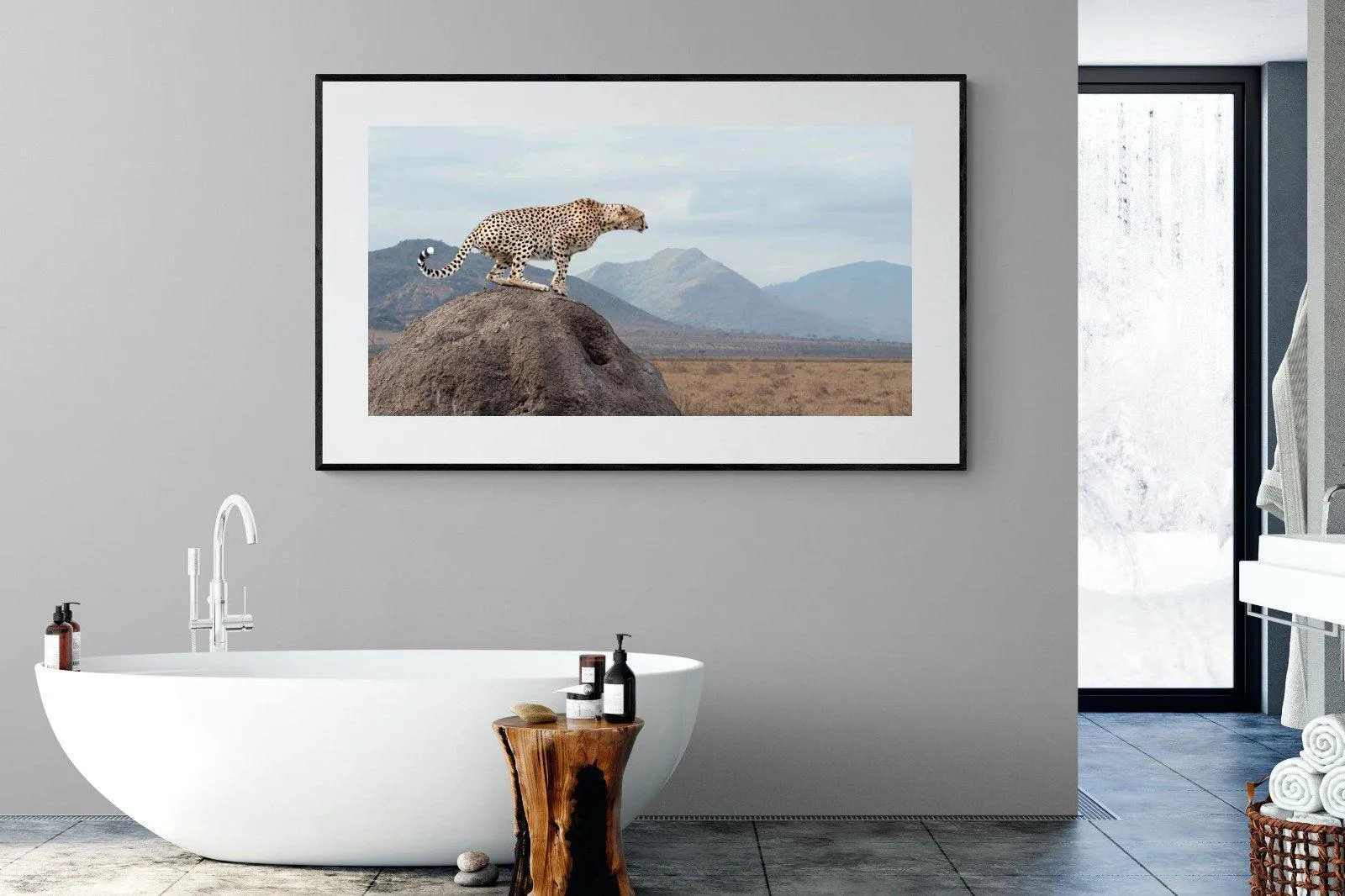 Cheetah