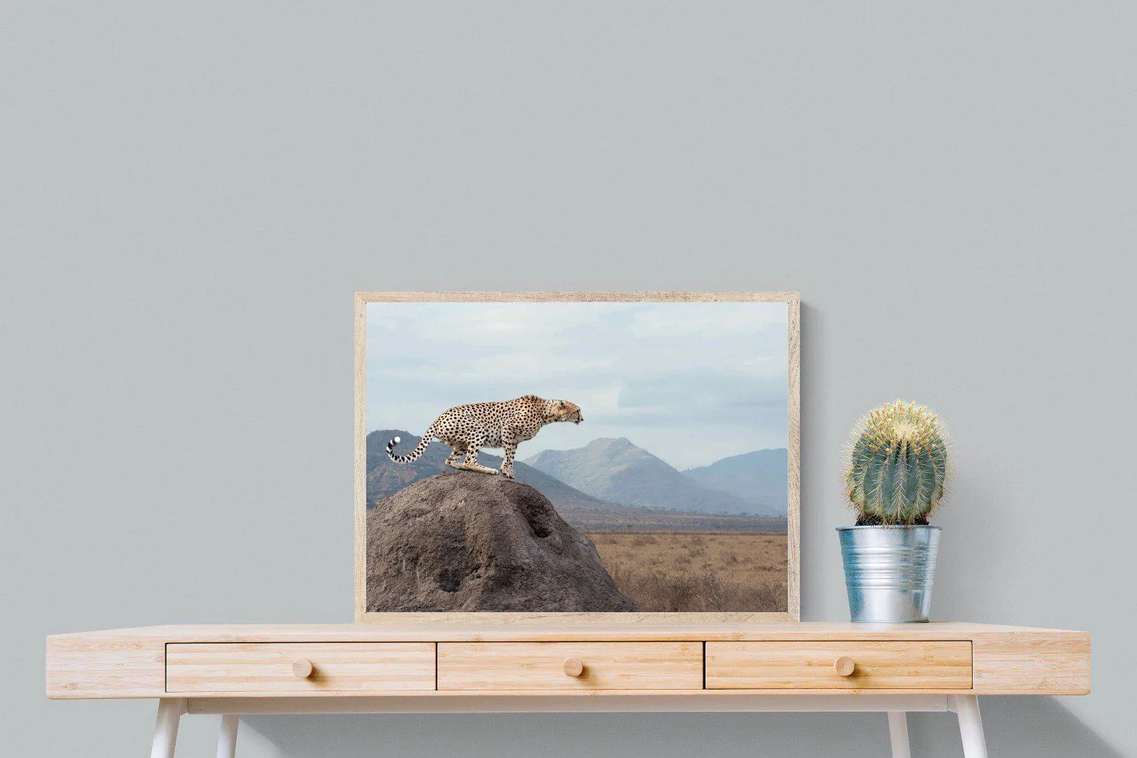 Cheetah