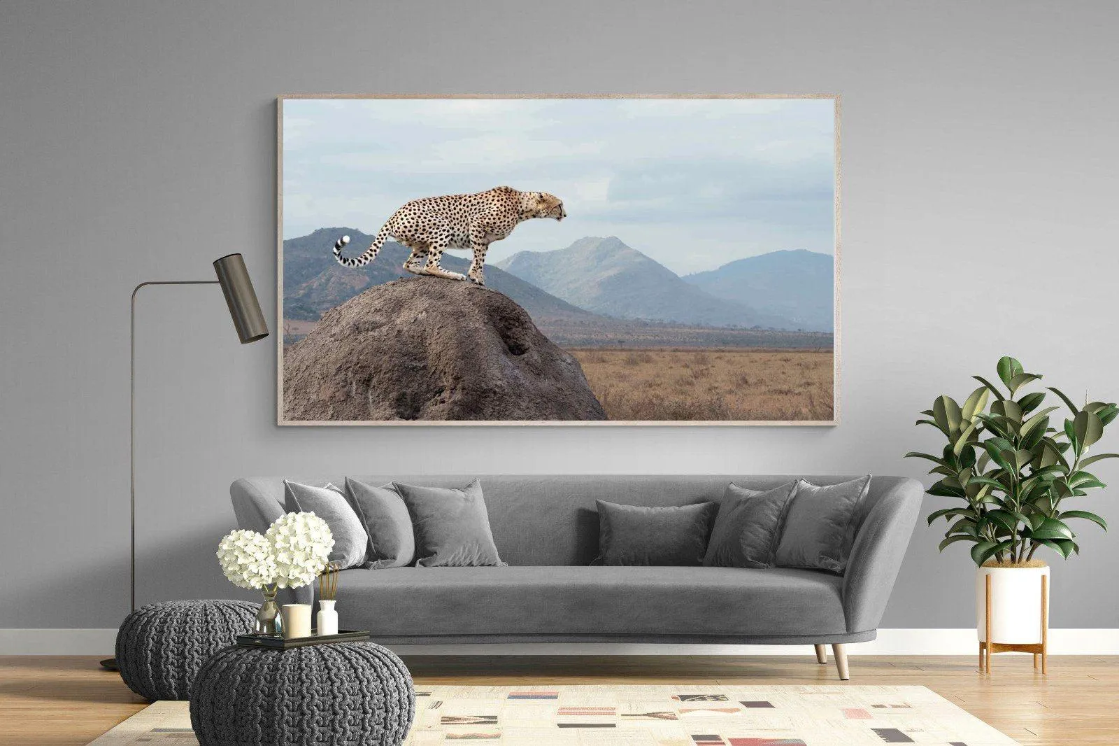 Cheetah