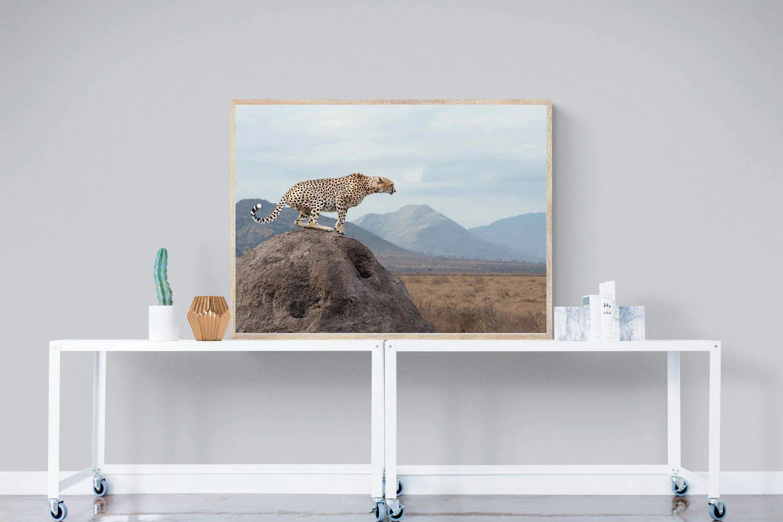 Cheetah