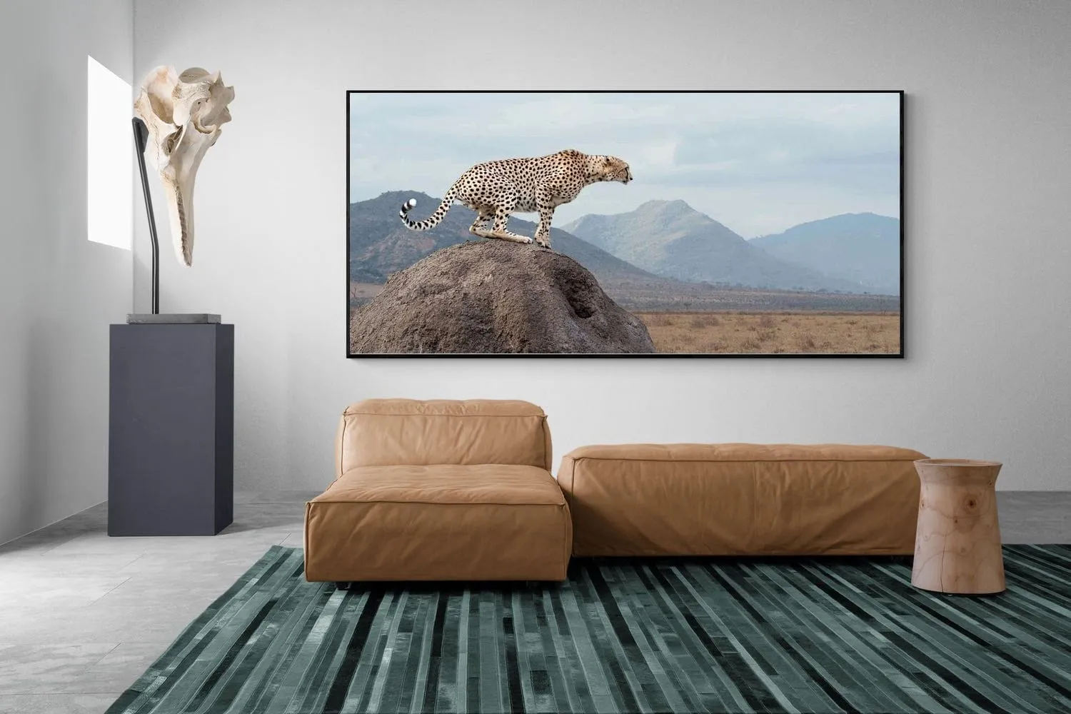 Cheetah