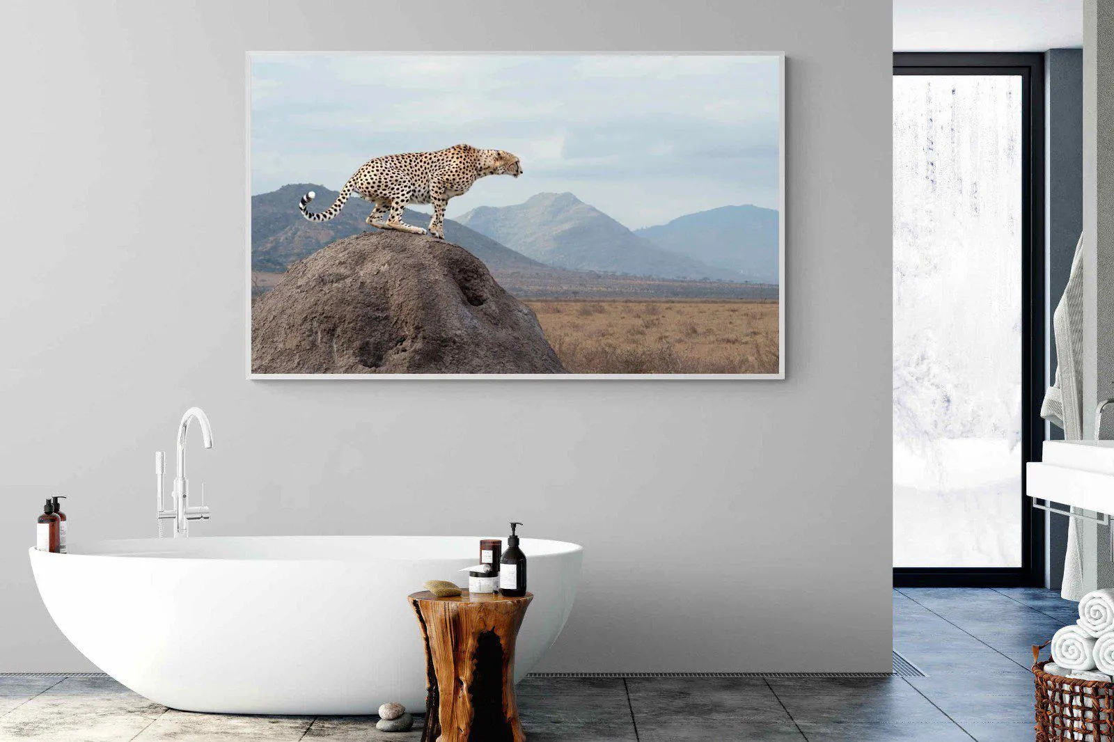 Cheetah