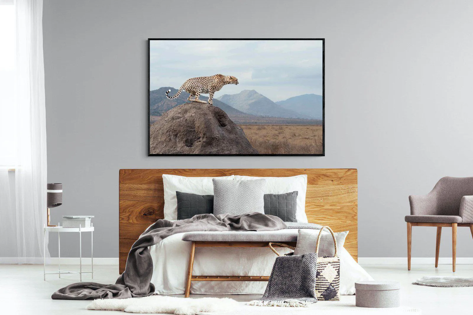 Cheetah