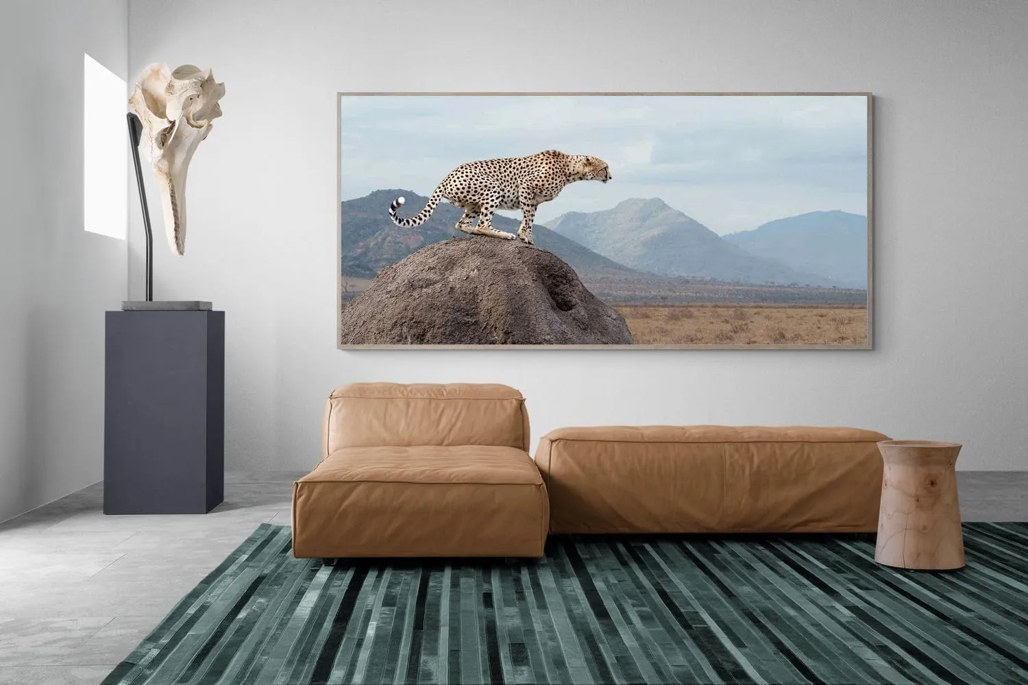 Cheetah