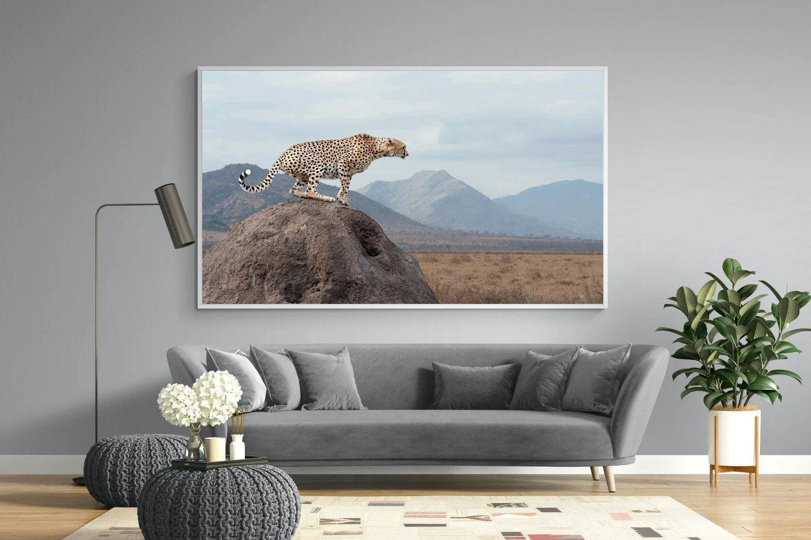 Cheetah