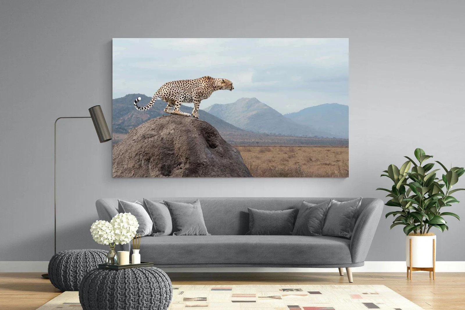 Cheetah
