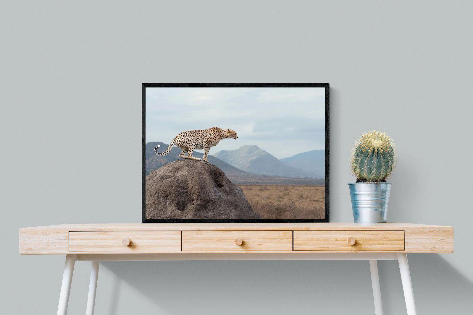 Cheetah