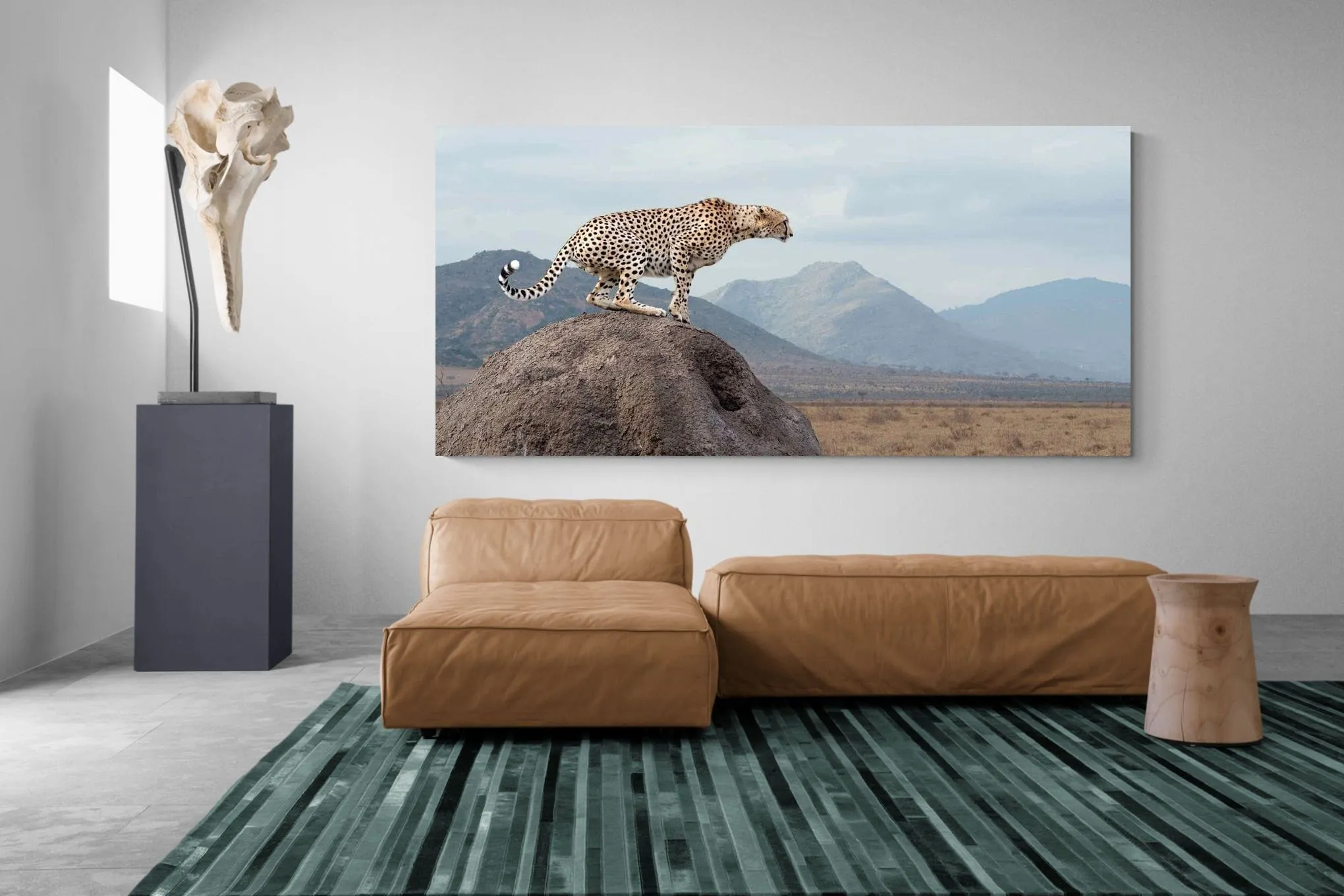 Cheetah