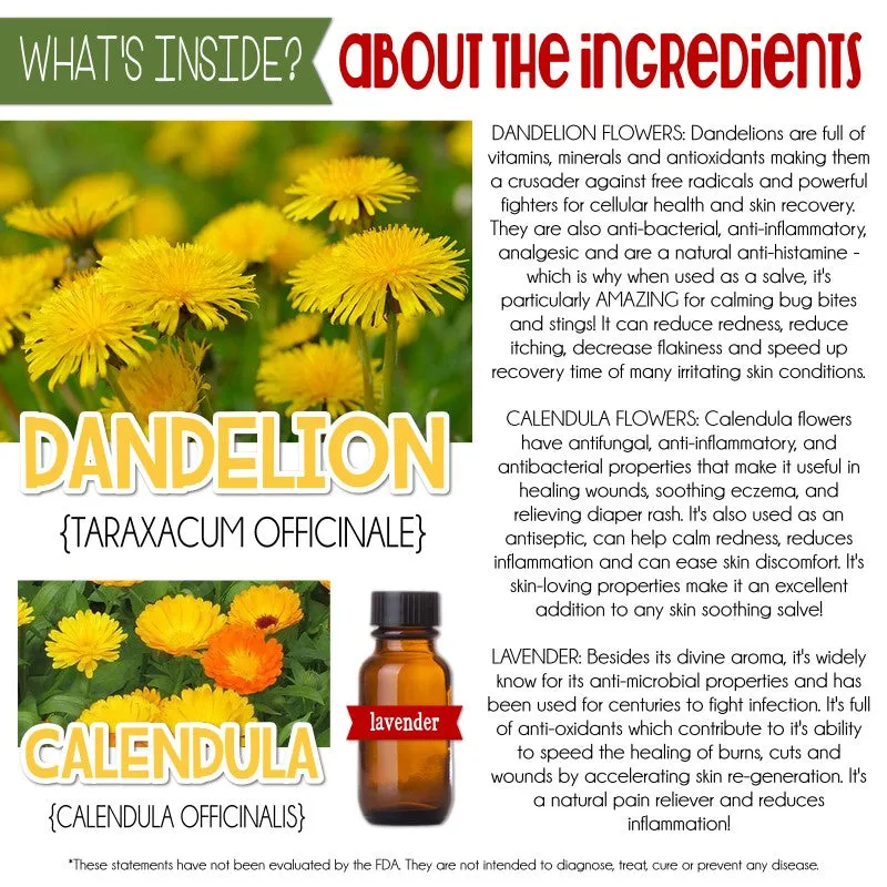 DANDELION Salve {Discounted 5-Pack} HALF OZ TINS