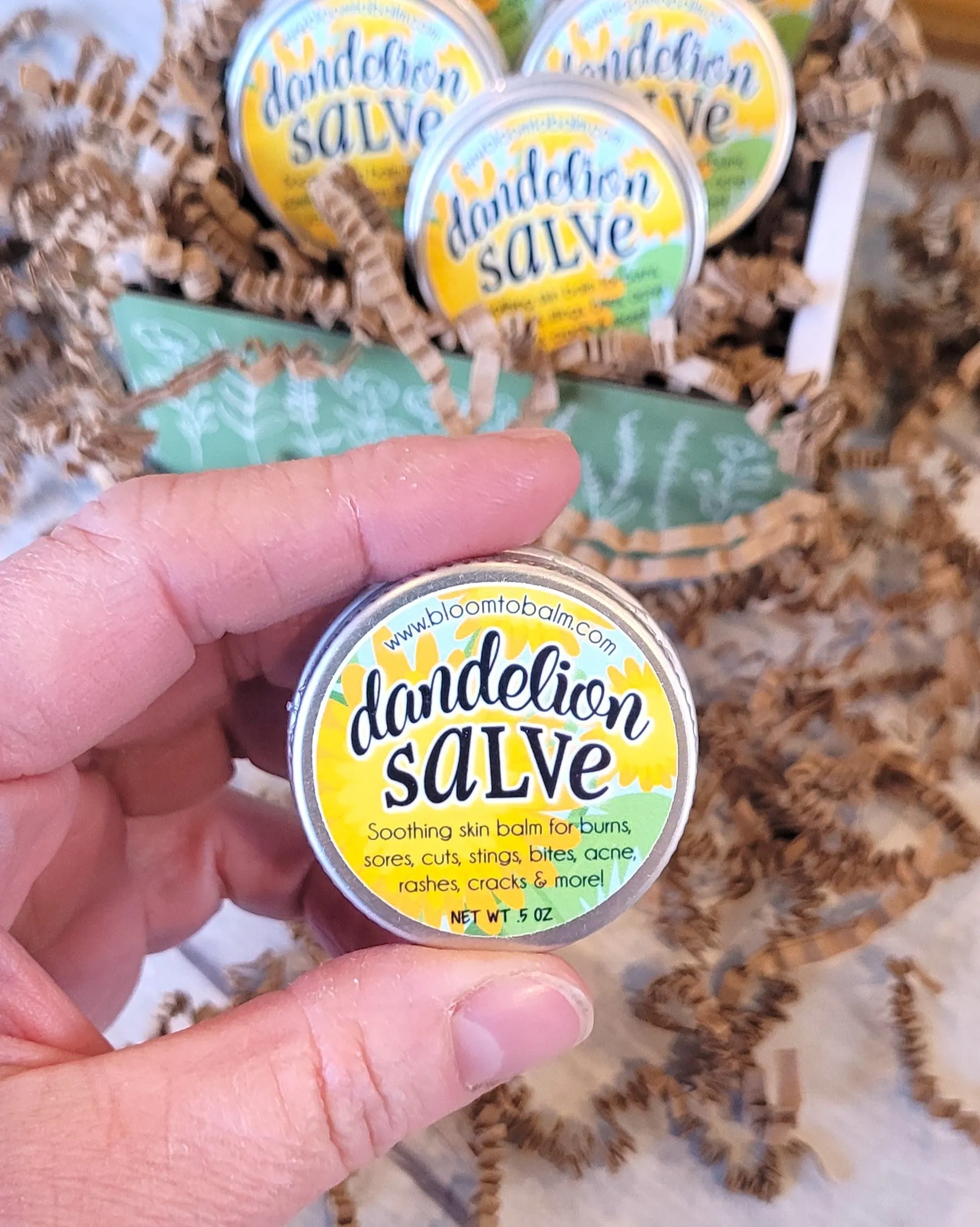 DANDELION Salve {Discounted 5-Pack} HALF OZ TINS