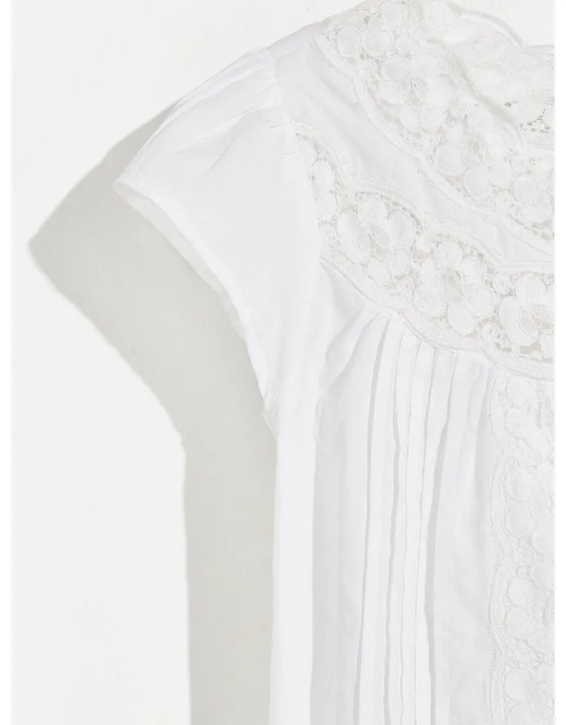 hawk blouse