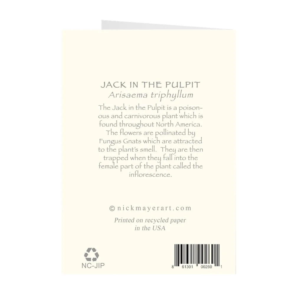 Jack in the Pulpit Notecards