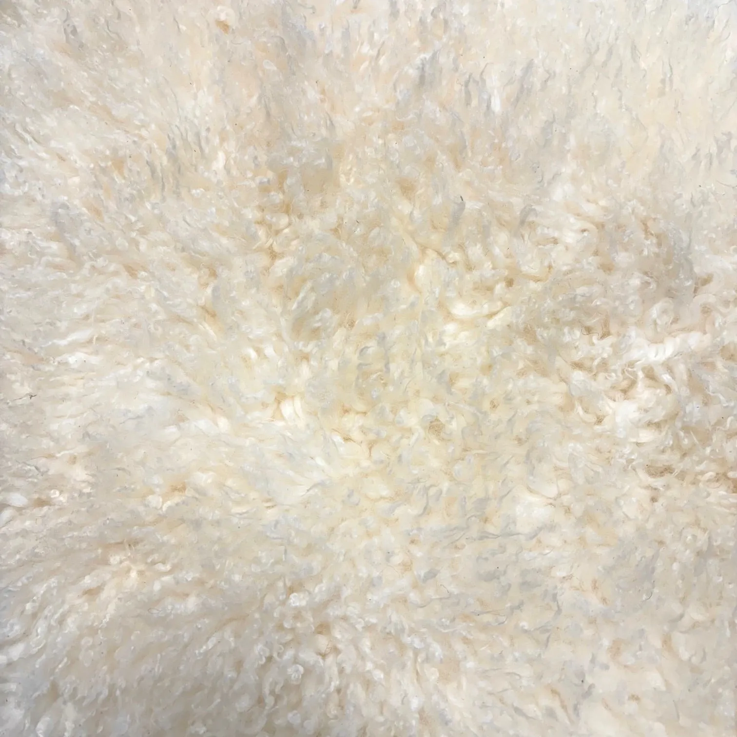 New Zealand Longwool Shearling | Ships in 2 weeks