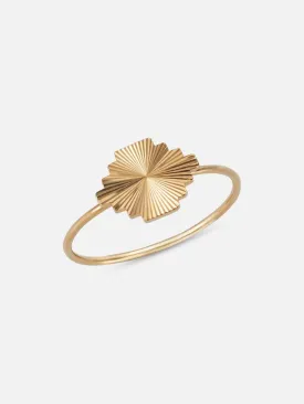 Puzzle Ring