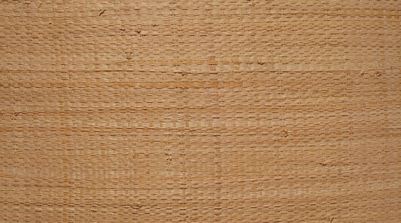Raffia Drum Shade