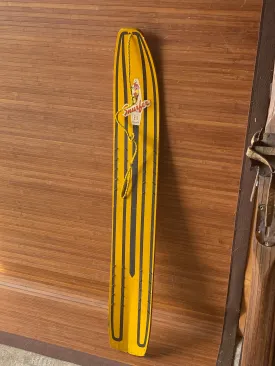 Vintage Brunswick Snurfer